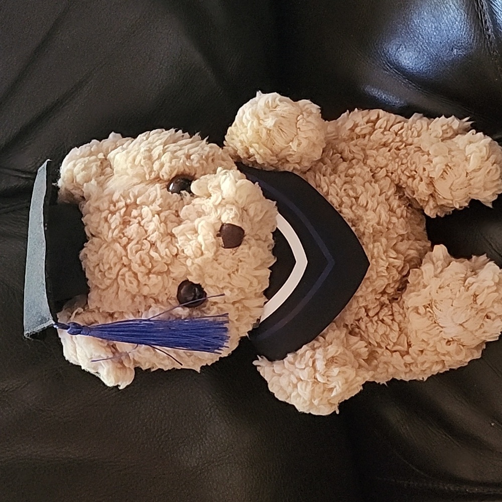 Brand New Graduation Teddy Bear with Cap and Gown (Blue)